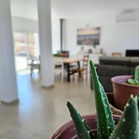 Quinta Oliveiras, Country House, Private Pool, Parking, Wifi, Ac, Nearby *