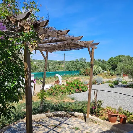 Quinta Oliveiras, Country House, Private Pool, Parking, Wifi, Ac, Nearby Murtais